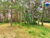 Parduodamas puikios lokacijos 10,65 a sklypas - nuotraukos Nr. 5