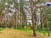 Parduodamas puikios lokacijos 10,65 a sklypas - nuotraukos Nr. 6