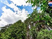 Parduodamas puikios lokacijos 10,65 a sklypas - nuotraukos Nr. 10