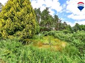 Parduodamas puikios lokacijos 10,65 a sklypas - nuotraukos Nr. 12