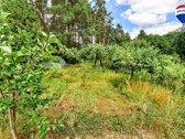 Parduodamas puikios lokacijos 10,65 a sklypas - nuotraukos Nr. 14