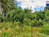 Parduodamas puikios lokacijos 10,65 a sklypas - nuotraukos Nr. 15