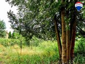 Parduodamas puikios lokacijos 10,65 a sklypas - nuotraukos Nr. 17