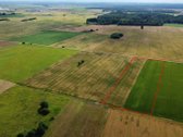 Parduodamas Sklypas Domeikavos Sen. Ražių Kaime - nuotraukos Nr. 4