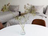 Rooms Park nuomojami naujai įrengti - nuotraukos Nr. 3