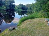 Parduodama sodyba ant Šušvės kranto, 6 km nuo - nuotraukos Nr. 5