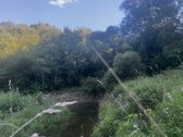 574a sklypas su mišku ir Lazduonos upės - nuotraukos Nr. 14