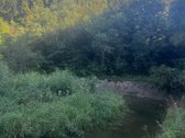 574a sklypas su mišku ir Lazduonos upės - nuotraukos Nr. 15
