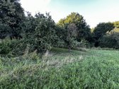 574a sklypas su mišku ir Lazduonos upės - nuotraukos Nr. 17