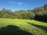 574a sklypas su mišku ir Lazduonos upės - nuotraukos Nr. 18