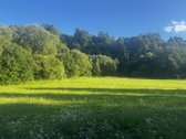 574a sklypas su mišku ir Lazduonos upės - nuotraukos Nr. 21