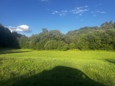 574a sklypas su mišku ir Lazduonos upės - nuotraukos Nr. 22