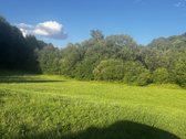 574a sklypas su mišku ir Lazduonos upės - nuotraukos Nr. 6