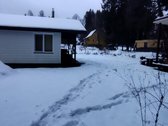 Parduodamas sodas Kauno rajone Kačerginės - nuotraukos Nr. 3