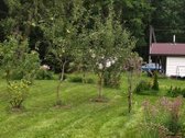 Parduodamas sodas Kauno rajone Kačerginės - nuotraukos Nr. 12