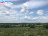 Parduodamas 6,10 Ha Žemės Ūkio Paskirties - nuotraukos Nr. 9