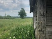 Parduodamas 6,10 Ha Žemės Ūkio Paskirties - nuotraukos Nr. 10
