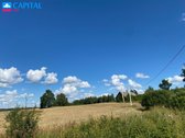 Parduodamas 6,10 Ha Žemės Ūkio Paskirties - nuotraukos Nr. 8