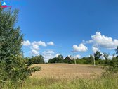 Parduodamas 6,10 Ha Žemės Ūkio Paskirties - nuotraukos Nr. 7