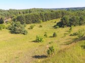 Parduodamas 100 arų namų valdos žemės sklypas - nuotraukos Nr. 10