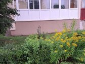Parduodamas pilnai įrengtas ir suremontuotas