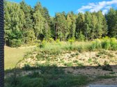 Santarvės g. pušelių apsuptyje planuojame - nuotraukos Nr. 10