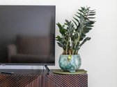 Pušų Terasos – tai apartamentai įsikūrę - nuotraukos Nr. 11