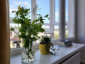 Nuomojamas 2 Kambarių Butas Antakalnyje - nuotraukos Nr. 6