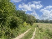 Žemės sklypas prie upės ypatingai gražioje, - nuotraukos Nr. 4