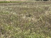 Sumažinome Kainą -parduodamas - žemės sklypas - nuotraukos Nr. 3