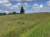Sumažinome Kainą -parduodamas - žemės sklypas - nuotraukos Nr. 4