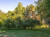 Parduodama unikali sodyba ant paties Kalvių - nuotraukos Nr. 17
