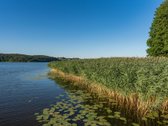 Parduodama unikali sodyba ant paties Kalvių - nuotraukos Nr. 16