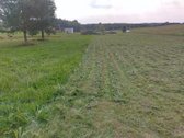 Sklypas 42,51 arų. - nuotraukos Nr. 8