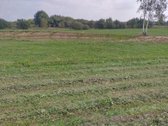 Sklypas 42,51 arų. - nuotraukos Nr. 7