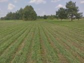 Sklypas 42,51 arų. - nuotraukos Nr. 9