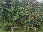 Parduodamas mūrinis 1988 statybos metų namas - nuotraukos Nr. 7