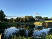 Vaizdingoje vietoje parduodamas žemės sklypas