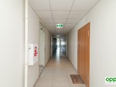 Išnuomojamas puikiai išplanuotas butas Ozo - nuotraukos Nr. 26