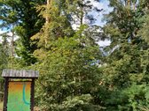 Su puikiu panoraminiu vaizdu parduodamas - nuotraukos Nr. 14