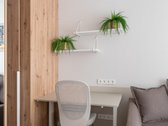 Nuomojamas 2 kambarių moderniai įrengtas, - nuotraukos Nr. 16