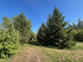 Parduodamas itin patrauklus žemės sklypas - nuotraukos Nr. 2