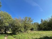 Parduodamas itin patrauklus žemės sklypas - nuotraukos Nr. 3