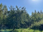 Parduodamas itin patrauklus žemės sklypas - nuotraukos Nr. 6