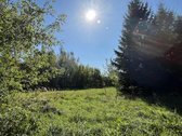 Parduodamas itin patrauklus žemės sklypas - nuotraukos Nr. 7