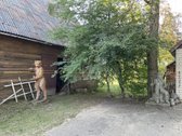 Parduodamas mūrinis namas ir ūkiniai pastatai - nuotraukos Nr. 13