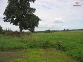 ? Erdvus 90 Arų Sklypas Pangesuose – Ramybė,