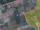 ? Erdvus 90 Arų Sklypas Pangesuose – Ramybė, - nuotraukos Nr. 3