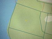 Parduodami 2 ha ploto miškų ūkio paskirties - nuotraukos Nr. 3