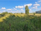 Vilniaus g. 38a (0,9465 ha)  - nuotraukos Nr. 4